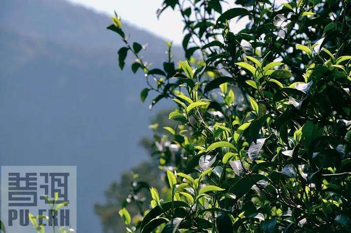 微信图片_20191203101220.jpg 微信图片_20191203101220.jpg