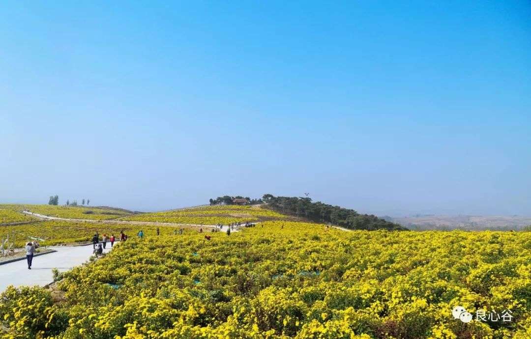 微信图片_20191209102134.jpg 微信图片_20191209102134.jpg