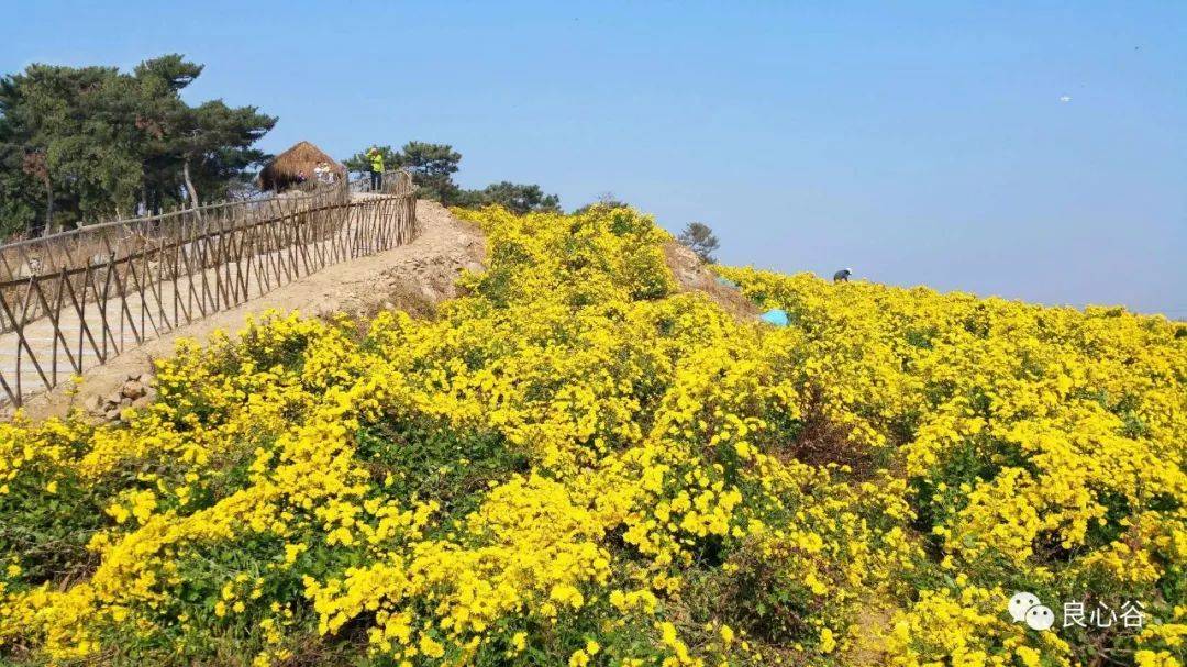 微信图片_20191209102139.jpg 微信图片_20191209102139.jpg