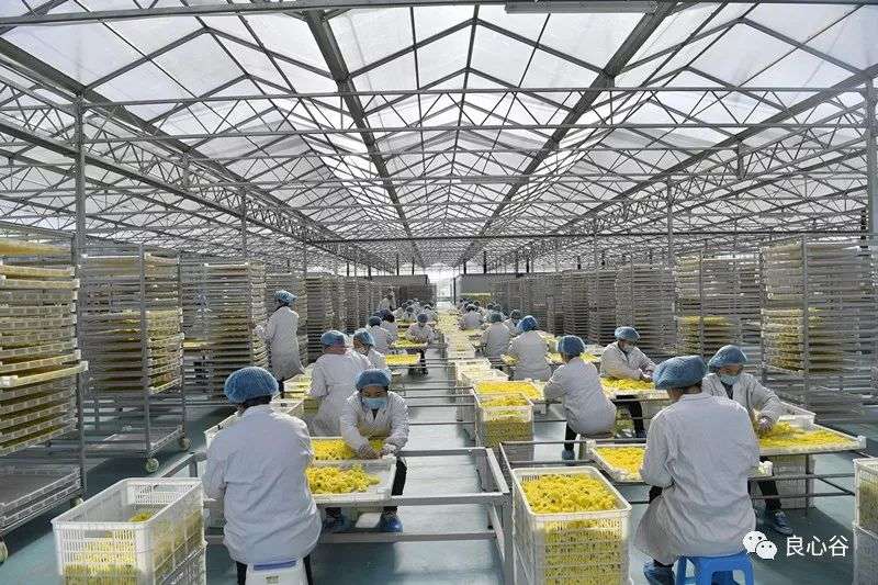 微信图片_20191209102148.jpg 微信图片_20191209102148.jpg