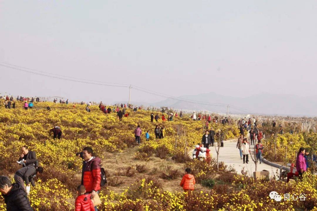 微信图片_20191209102152.jpg 微信图片_20191209102152.jpg