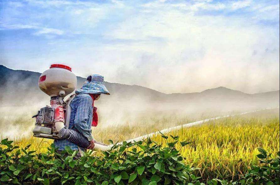 微信图片_20191217085639.jpg 微信图片_20191217085639.jpg