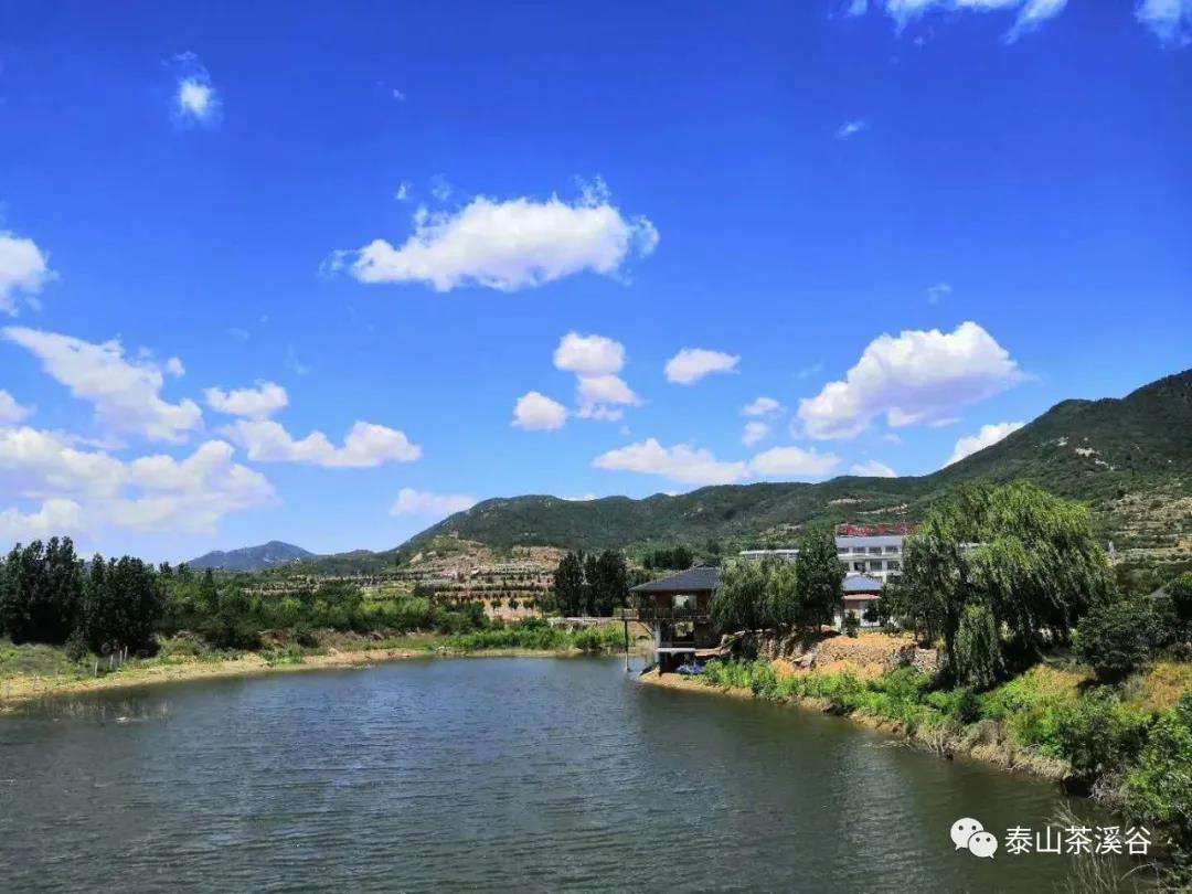 微信图片_20201124103041.jpg 微信图片_20201124103041.jpg