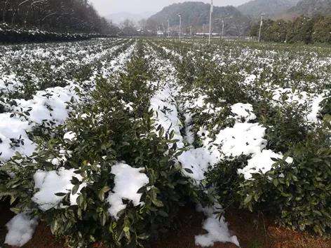 微信图片_20201222095939.jpg 微信图片_20201222095939.jpg