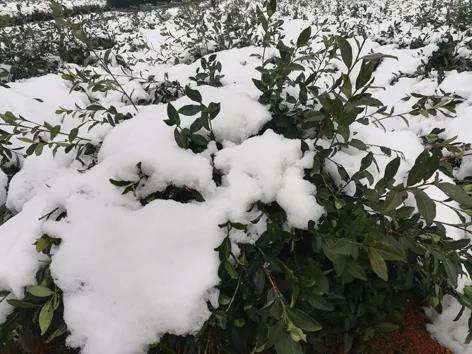 微信图片_20201222100238.jpg 微信图片_20201222100238.jpg