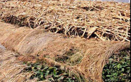 微信图片_20210316104637.jpg 微信图片_20210316104637.jpg