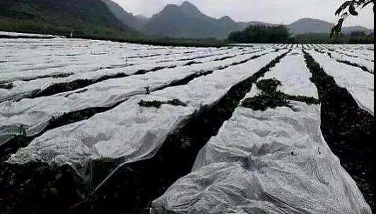 微信图片_20210316104643.jpg 微信图片_20210316104643.jpg