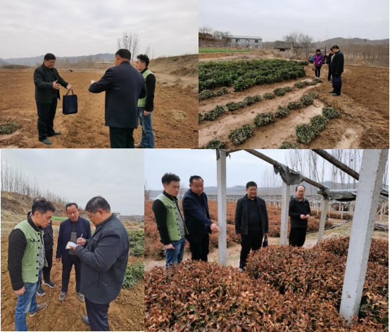 微信图片_20210330103543.png 微信图片_20210330103543.png