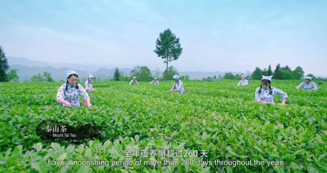 微信图片_20221122161007.jpg 微信图片_20221122161007.jpg