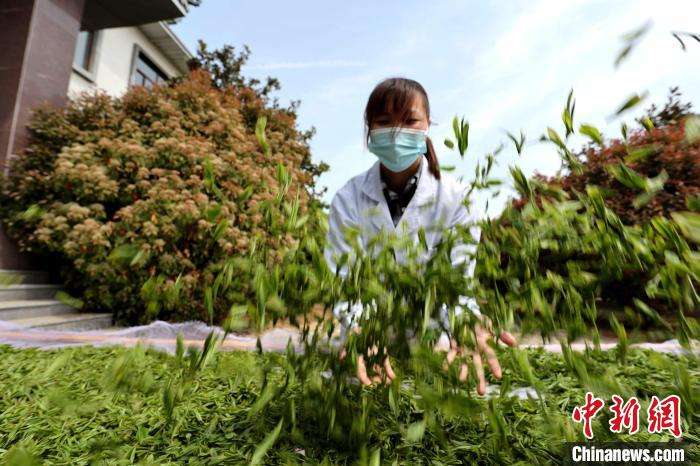 微信图片_20230419092400.jpg 微信图片_20230419092400.jpg