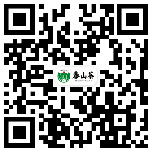 手机网站