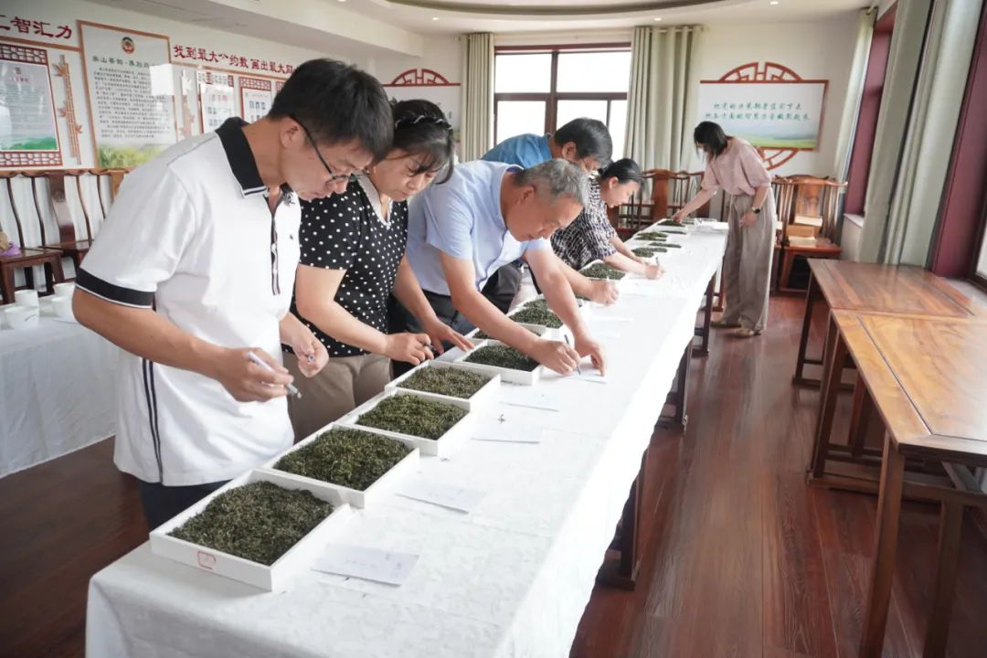 图片1.jpg 图片1.jpg