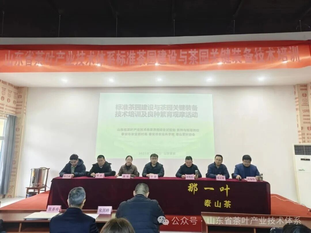 茶叶体系举办标准茶园建设培训及良种繁育观...